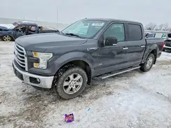 1FTEW1EP3GFA61768 2016 FORD F-150