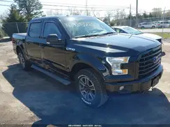 1FTEW1EP3GFB36386 2016 FORD F-150