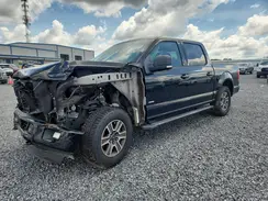 1FTEW1EP3GFD31999 2016 FORD F-150