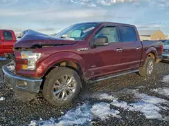 1FTEW1EP3GKF50372 2016 FORD F-150