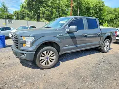 1FTEW1EP3HFB60513 2017 FORD F-150