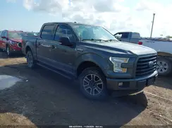 1FTEW1EP3HKC33189 2017 FORD F-150
