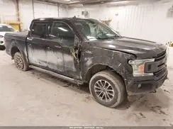 1FTEW1EP3KFD12992 2019 FORD F-150