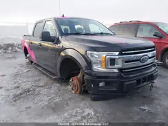 1FTEW1EP3LKD85174 2020 FORD F-150