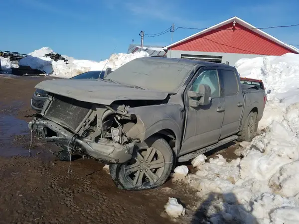 1FTEW1EP3MKE96664 2021 FORD F-150 - Image 1