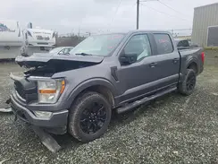 1FTEW1EP3NFB43531 2022 FORD F-150