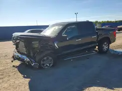1FTEW1EP3PFB14503 2023 FORD F-150