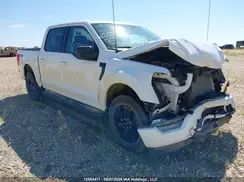 1FTEW1EP3PFC89270 2023 FORD F-150