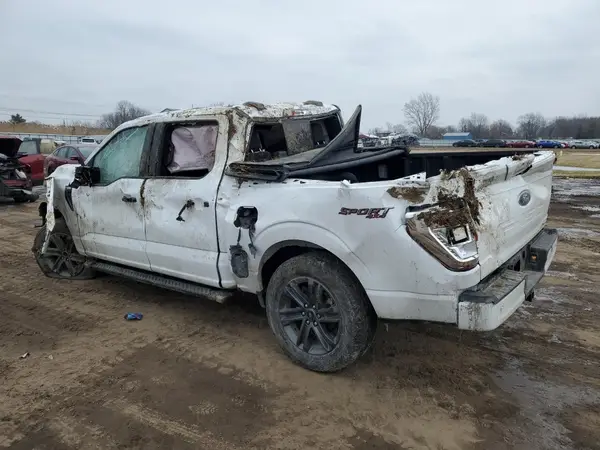 1FTEW1EP3PKE11553 2023 FORD F-150 - Image 2