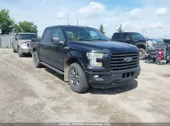 1FTEW1EP4GFA03071 2016 FORD F-150