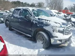 1FTEW1EP4GFA32294 2016 FORD F-150