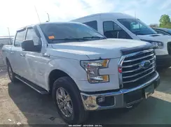 1FTEW1EP4GFA76859 2016 FORD F-150