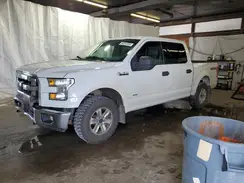 1FTEW1EP4GFB27647 2016 FORD F-150