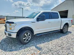 1FTEW1EP4GFC17655 2016 FORD F-150