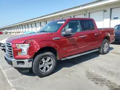 1FTEW1EP4GKD86534 2016 FORD F-150