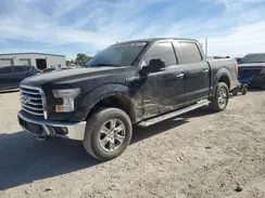 1FTEW1EP4HKD24195 2017 FORD F-150