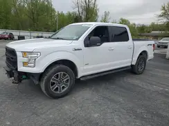 1FTEW1EP4HKE43137 2017 FORD F-150