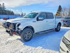 1FTEW1EP4KFB38382 2019 FORD F-150