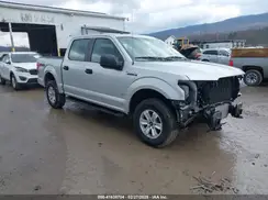 1FTEW1EP4KFB95049 2019 FORD F-150