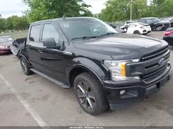 1FTEW1EP4KFC00234 2019 FORD F-150