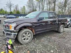 1FTEW1EP4KFD31034 2019 FORD F-150