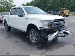 1FTEW1EP4KFD31616 2019 FORD F-150