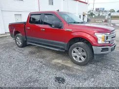 1FTEW1EP4KKD68415 2019 FORD F-150