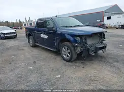 1FTEW1EP4KKD86445 2019 FORD F-150