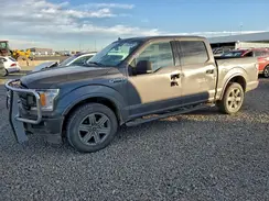 1FTEW1EP4KKE06015 2019 FORD F-150
