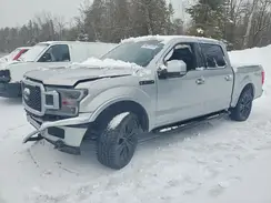 1FTEW1EP4LFC74528 2020 FORD F-150