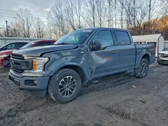 1FTEW1EP4LKF15009 2020 FORD F-150