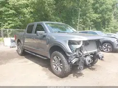 1FTEW1EP4MKD20335 2021 FORD F-150