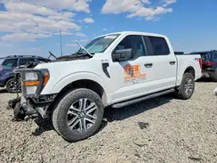 1FTEW1EP4PFB51950 2023 FORD F-150