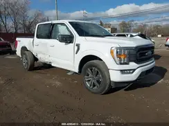 1FTEW1EP4PKG10630 2023 FORD F-150
