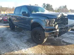 1FTEW1EP5GFA41666 2016 FORD F-150