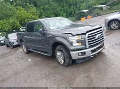 1FTEW1EP5GFA69130 2016 FORD F-150