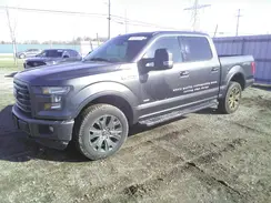 1FTEW1EP5GFB04720 2016 FORD F-150