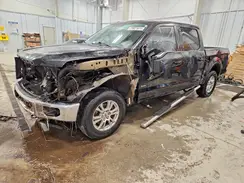 1FTEW1EP5GFB42657 2016 FORD F-150