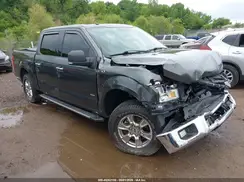 1FTEW1EP5GFC98925 2016 FORD F-150