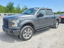 1FTEW1EP5HFB03519 2017 FORD F-150