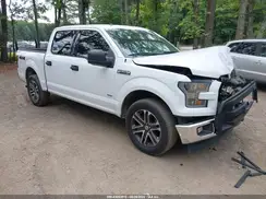 1FTEW1EP5HFB19834 2017 FORD F-150