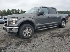 1FTEW1EP5HFB97160 2017 FORD F-150