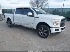 1FTEW1EP5HFC49015 2017 FORD F-150