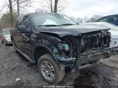 1FTEW1EP5HFC55946 2017 FORD F-150