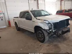 1FTEW1EP5KFB45230 2019 FORD F-150