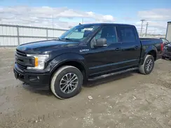 1FTEW1EP5KFD11052 2019 FORD F-150
