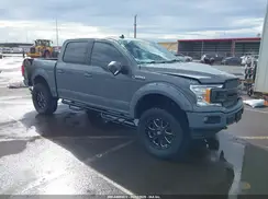 1FTEW1EP5KKC70350 2019 FORD F-150