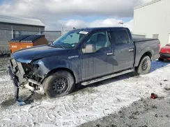 1FTEW1EP5LFB57248 2020 FORD F-150