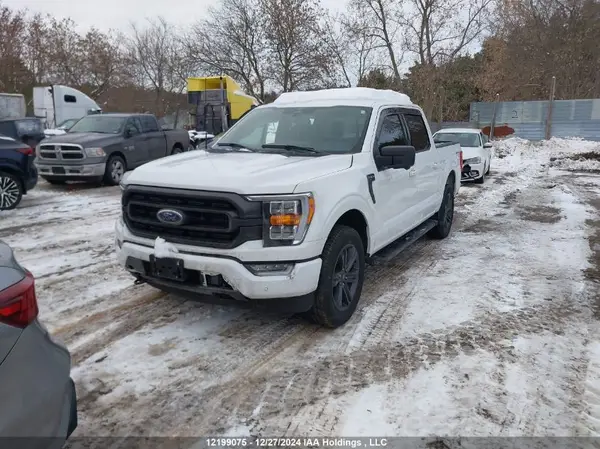 1FTEW1EP5PFC15767 2023 FORD F-150 - Image 2