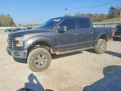 1FTEW1EP6GFA96773 2016 FORD F-150
